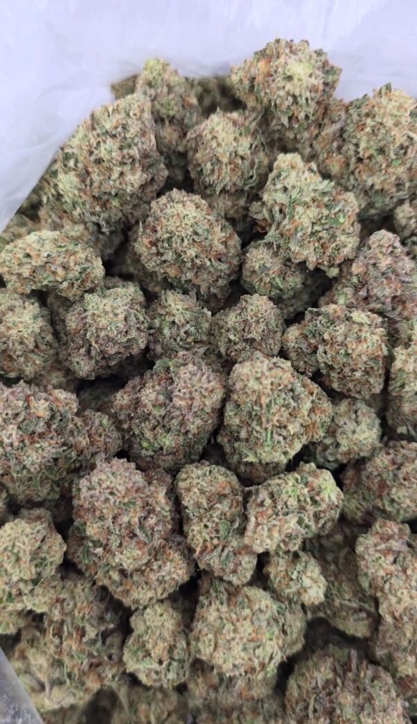 Grapefruit OG