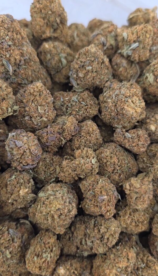 Blueberry Mintz