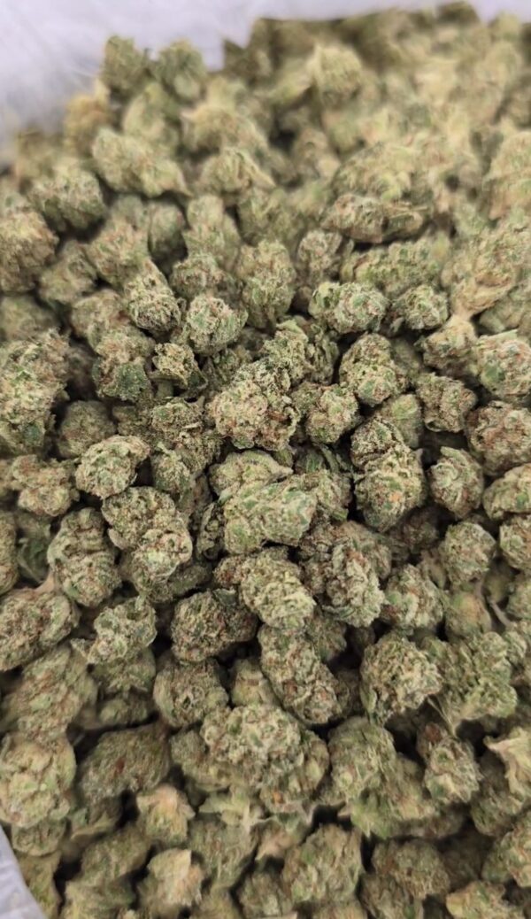 Gorilla Gas Smalls