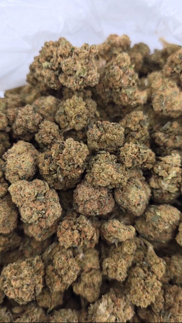 Dragon Breath